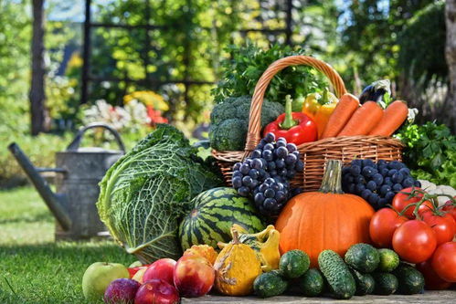 德清農副產品特色美食歡樂購開啟，新鮮蔬菜等您來選購