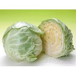 廣東糖類產品與蔬菜的批發、供應及廠家資源整合