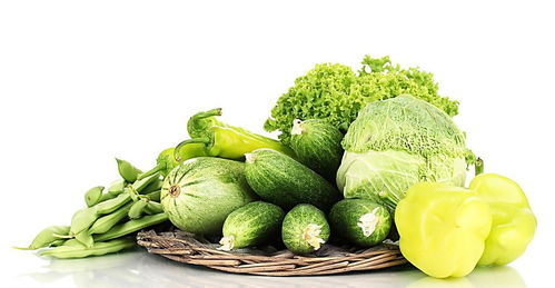 茴香氣泡清洗機與苗木產品報價分析