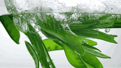 蔬菜學博士媽媽支招 讓孩子愛上吃菜的秘訣與蔬菜趣味科普