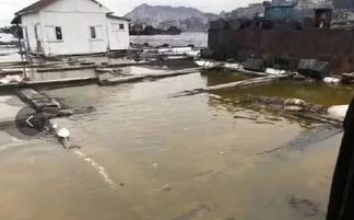 不造謠不傳謠，我們用事實說話 內(nèi)陸水產(chǎn)養(yǎng)殖銷售的現(xiàn)狀與前景