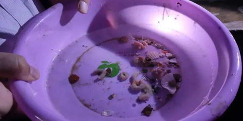 威海市推進(jìn)水產(chǎn)健康養(yǎng)殖 示范場(chǎng)驗(yàn)收與原良種場(chǎng)考察并舉，助力內(nèi)陸水產(chǎn)養(yǎng)殖銷(xiāo)售提質(zhì)增效