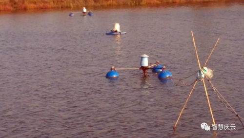 慶云海天水產(chǎn)養(yǎng)殖榮膺省級(jí)健康示范場(chǎng)，探索內(nèi)陸水產(chǎn)養(yǎng)殖與銷(xiāo)售新路徑